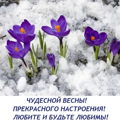 С первым днем весны 1 марта – поздравления в картинках и открытках | OBOZ.UA