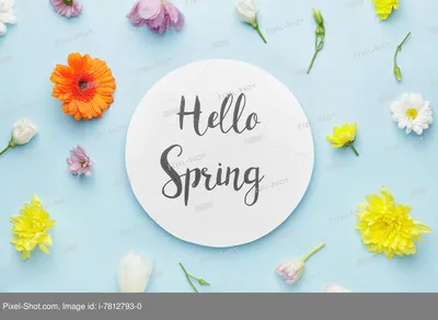 Цветочный логотип, цветочный орнамент, цветы, надпись, весна Stock Vector |  Adobe Stock
