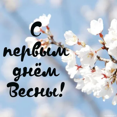 Весна Начало Весны Надпись - Бесплатное изображение на Pixabay - Pixabay