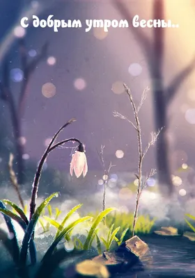 Привет фон весны свежих цветениями филиала и надписи Стоковое Изображение -  изображение насчитывающей вне, бобра: 214305567