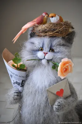 Евгений - #кот #котик #котенок #кошка #cat #весна #природа #цветы #животные  | Facebook