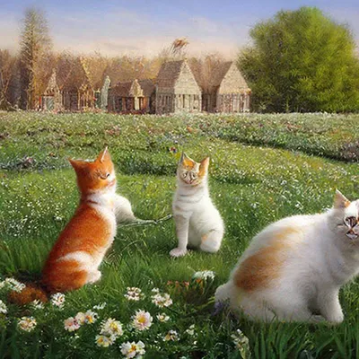 Весенний котик - 73 фото