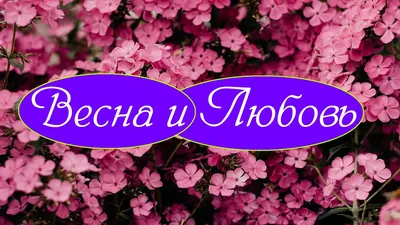 Женщина, весна, любовь (Мария Лашкунова) / Проза.ру