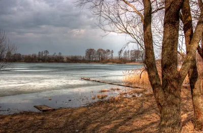 В начале марта #Весна #Март #Природа#Весна #Март #Природа Photographer:  Александр Гвоздь | Пейзажи, Фото пейзажа, Зимние сцены