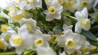 Нежная весна, март» — создано в Шедевруме