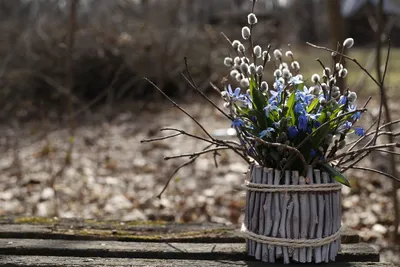 Весна на носу. Photographer Mariya Sherskova