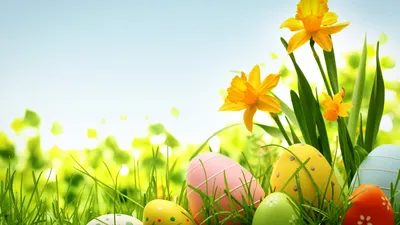 картинки : Пасха, пасхальное яйцо, Пища, весна, натюрморт, растение, день  отдыха, Натуральные продукты 1920x1200 - marcelomr - 1588413 - красивые  картинки - PxHere
