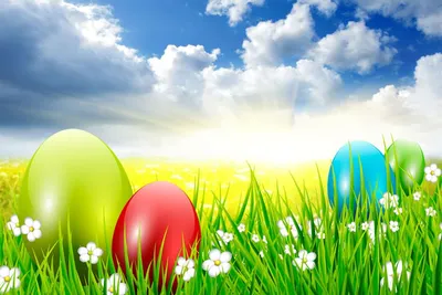 Скачать обои цветы, яйца, весна, пасха, Easter, раздел праздники в  разрешении 2880x1800