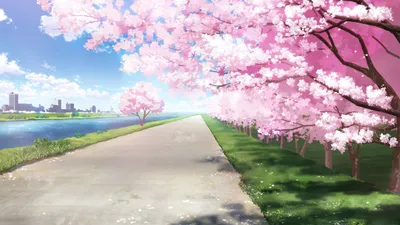 Цветущая сакура цветет весной сакура цветет на ветке фото цветущей сакуры |  Премиум Фото