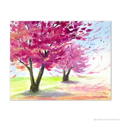 Сакура — стоковые фотографии и другие картинки Весна - Весна, Цветок вишни,  Вишня - дерево - iStock