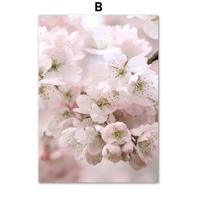 Авторская картина Весна, цветущая сакура №1000878 - купить в Украине на  Crafta.ua