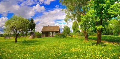 Купить картину Весна в деревне в Москве от художника Нечитайло Сергей