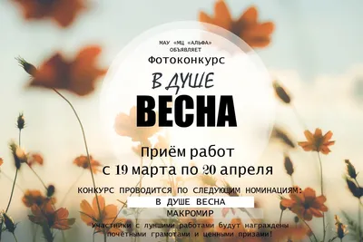 Библиотека Вилючинска — Арт-встреча «Когда в душе весна»