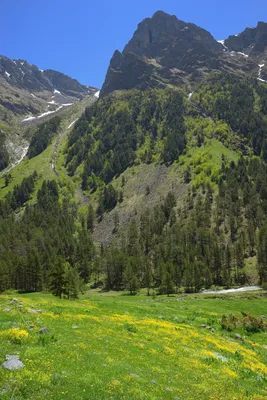 Весна в горах Кавказа,Даут. Фотограф Александр Жарников