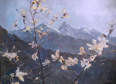 весенняя весна в горах стоковое изображение. изображение насчитывающей горы  - 216371283