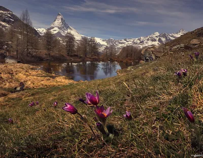 Купить картину Весна в горах в Москве от художника Мишагин Андрей