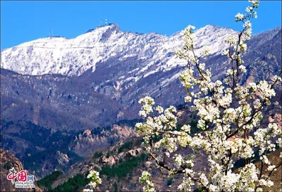 Весна в горах.. — Фото №346087