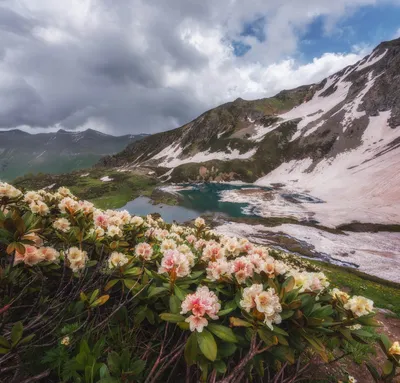 Ранняя весна в горах Улиншань _russian.china.org.cn