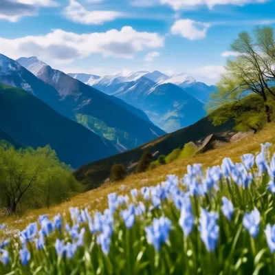 Картина по номерам \"Весна в горах\"