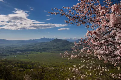 Весна в горах | Пикабу