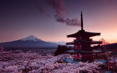 Япония весна сакура японская красивая…» — создано в Шедевруме