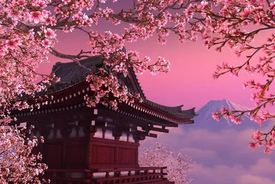 Весна в Японии 2024, цветение сакуры в Японии весной