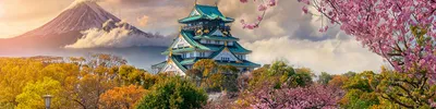 Инстаграм недели: весна в Японии | РБК Стиль