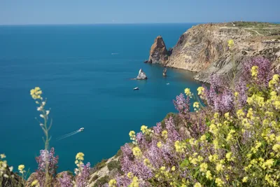 Весна в Крыму: ваш лучший отдых | Чем заняться | Туристический портал  Республики Крым