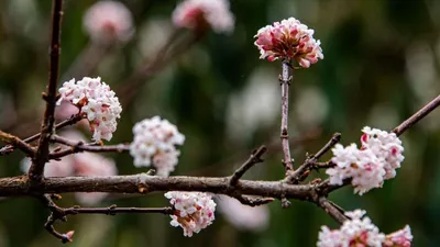 Весна в Крыму: пробуждение природы» — создано в Шедевруме
