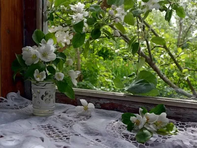 Купить картину Весна за окном в Москве от художника Севастьянова Ольга