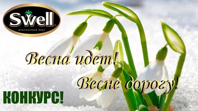 Весна идет, весне дорогу!