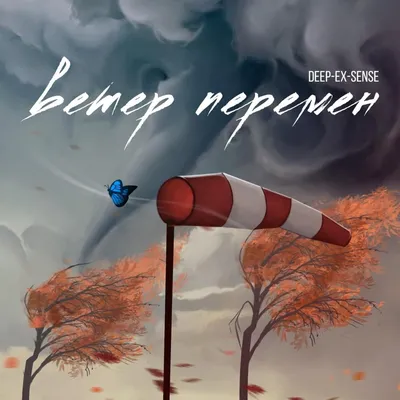 Ветер Картинки фотографии