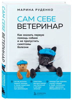 ветеринар с собакой. ветеринарный врач-ветеринар стоит рядом с лабрадором.  медицинское обслуживание домашних животных Иллюстрация штока - иллюстрации  насчитывающей доктор, отечественно: 236187845