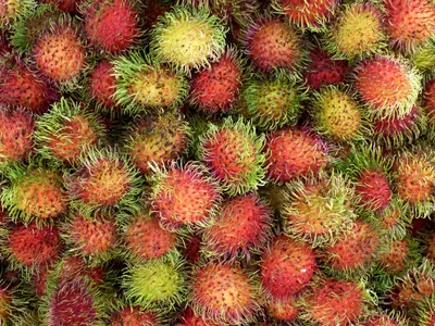 Малайзийские СМИ: Вьетнам укрепляет позицию в экспорте свежих фруктов |  Нянзан Онлайн