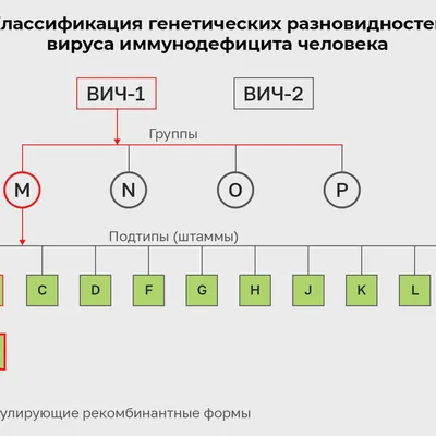 Профилактика ВИЧ-инфекции