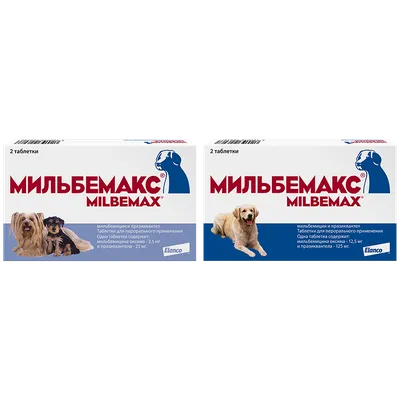 Антигельминтики от глистов - таблетки, суспензии от гельминтов для собак