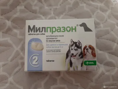 Мильбемакс® – таблетки от глистов для собак | Elanco