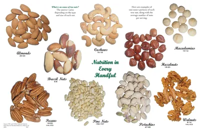 ВИДЫ ОРЕХОВ НА АНГЛИЙСКОМ Миндаль — almond Арахис — peanut Кедровые орешки  – cedar nuts.. | «ВКУС ОРЕХА» - орехи, сухофрукты. Низкие цены!!! |  ВКонтакте