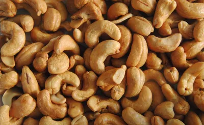 Разновидности грецкого ореха американской, французской и итальянской  селекций — портал Ореховод