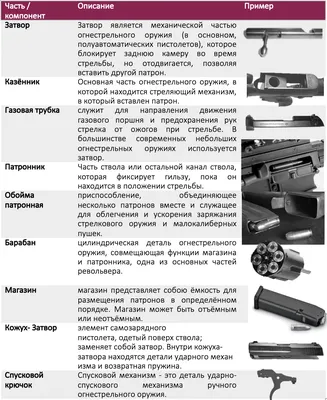 Виды оружия для охоты