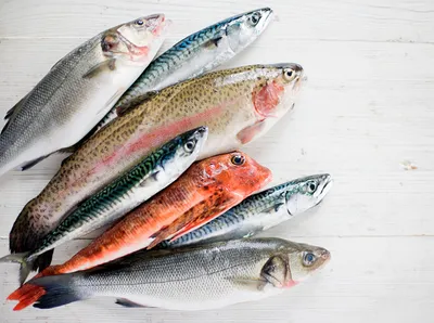 10 видов рыбы, которую лучше не есть | MARIECLAIRE