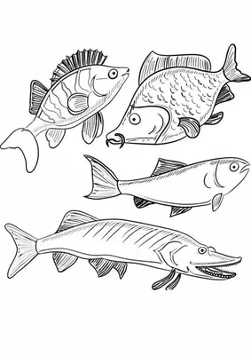 Раскраски пресноводных рыб (33 фото) » Картинки, раскраски и трафареты для  всех - Klev.CLUB