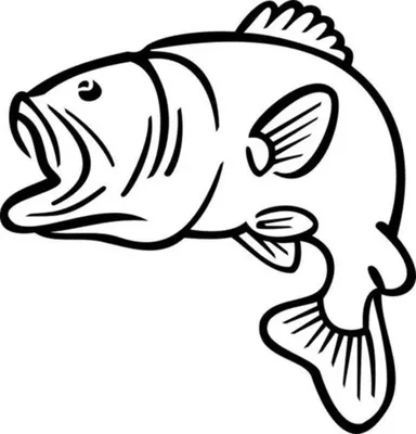 Раскраски речных рыб с названиями (38 фото) » Картинки, раскраски и  трафареты для всех - Klev.CLUB
