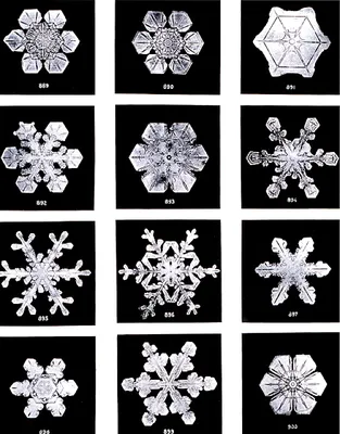 Формы снежинок в природе (57 фото) - 57 фото