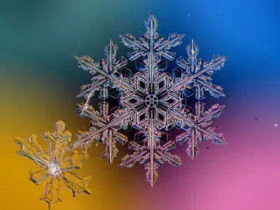 GISMETEO: Какими бывают снежинки: 7 разных видов - События | Новости погоды.