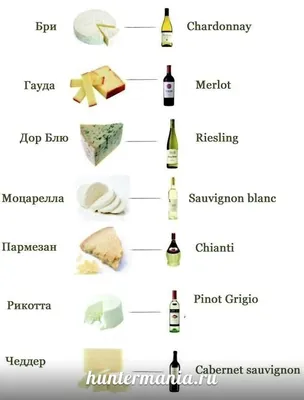 Виды сыров 🧀| Использование, хранение, сорта и вкус