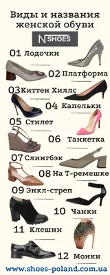 Виды женской обуви названия с инфографикой N-SHOES