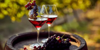 Ijevan Pomegranate - купить вино Иджеван гранат 1.5 л красное полусладкое -  цена