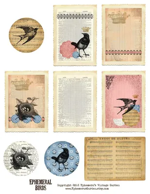Ephemera's Vintage Garden: Weekly Free Printable: Ephemeral Birds ATC |  Бесплатные распечатки, Винтажные изображения, Ретро