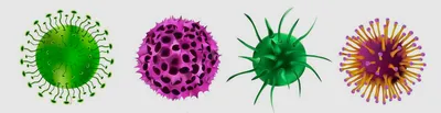 ПЦР-диагностика ОРВИ-скрин (респираторно-синцитиальный вирус,  метапневмовирус, вирус парагриппа 1,2,3,4, коронавирусы, риновирусы,  аденовирусы В,С,Е, бокавирусы) | ВИРА-Центр г. Нефтеюганск